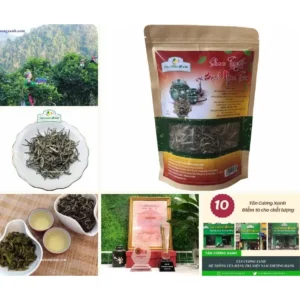 Trà Shan Tuyết Bạch Ngọc 100g - Cây trà cổ thụ Tây Bắc