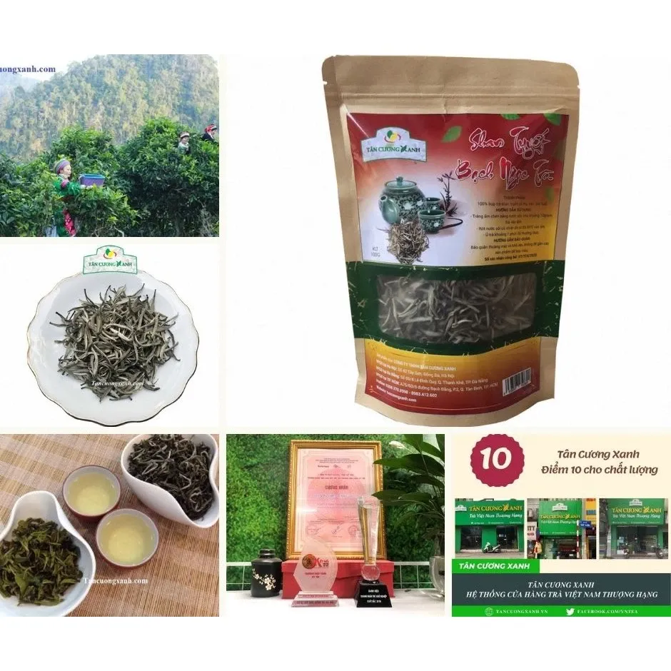 Trà Shan Tuyết Bạch Ngọc 100g - Cây trà cổ thụ Tây Bắc
