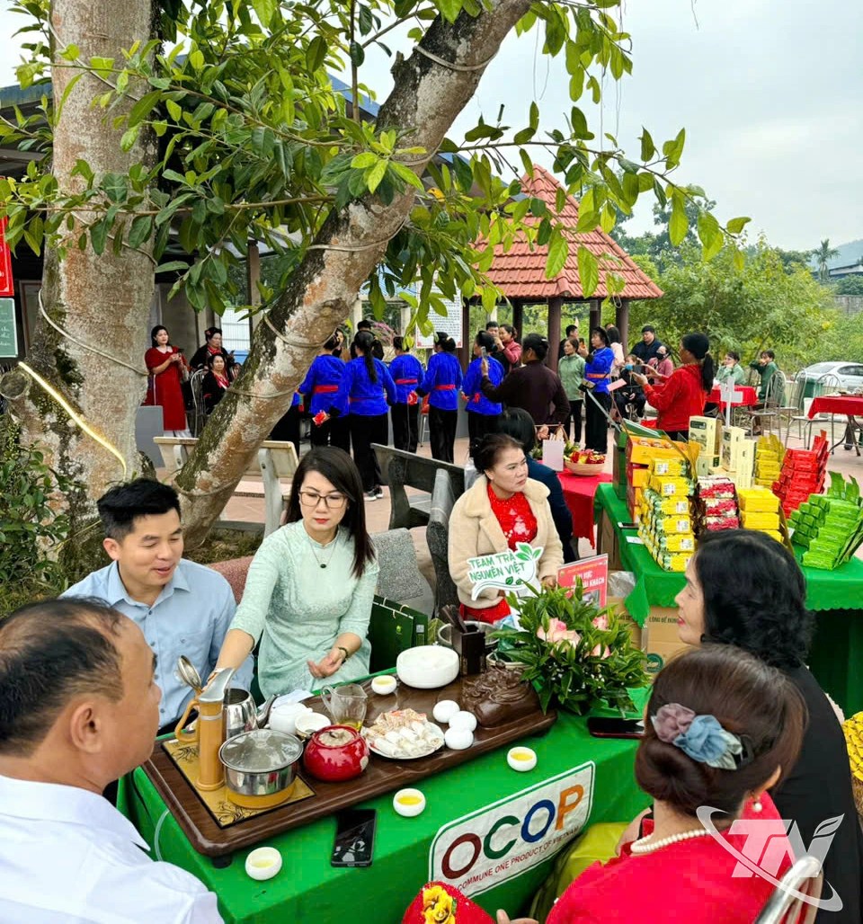 nhất đỉnh hương trà Trại Cài - không gian văn hóa và giới thiệu sản phẩm trà