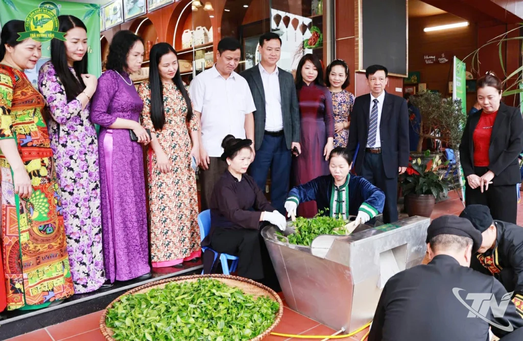 nghề sao chè thủ công - nghệ nhân sao chè tại chảo thủ công