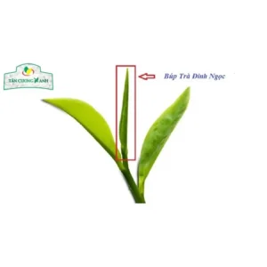 cánh trà đinh tân cương tứ quý 500g nhỏ như kim