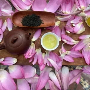 hương vị nồng nàn của hộp trà ướp bông sen ngọc tỉnh liên