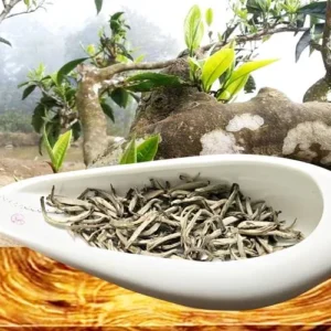 bạch ngọc shan hộp quà - hình ảnh 2