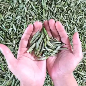 bách hương shan - hình ảnh 3