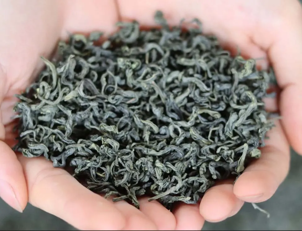 trà Thái Nguyên nổi tiếng Việt Nam