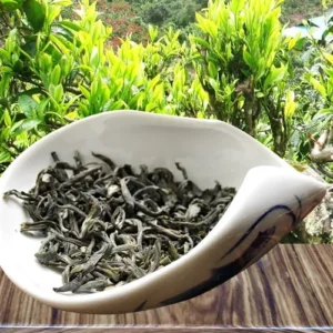 trà hương nhài shan tuyết cổ thụ - hình ảnh 2