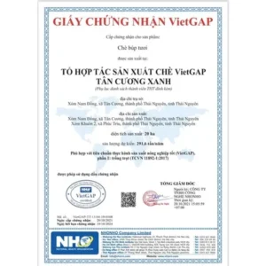 Trà Tân Cương Tước Thiệt Tôm Nõn - Nước trà xanh cốm ngọt hậu