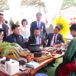 trà ô long Việt Nam từ cao nguyên Bảo Lộc