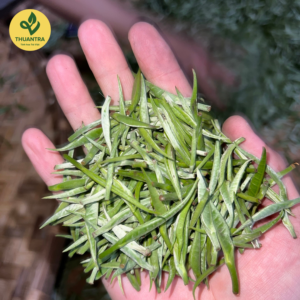 Bạch Trà Búp cánh trà trắng Shan Tuyết