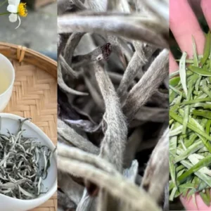 Trà xanh Tùng Sán Tây Côn Lĩnh hình ảnh minh họa trà shan tuyết