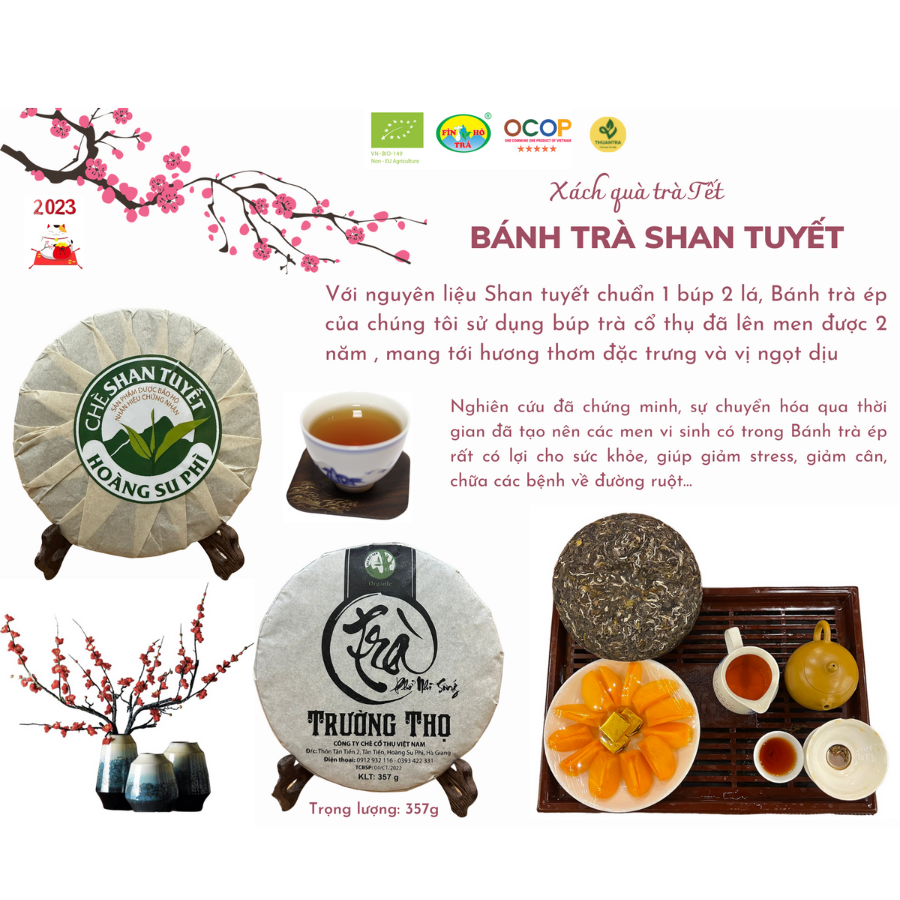 Bánh Trà Shan Tuyết ép bánh cổ thụ