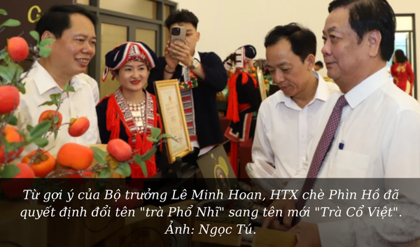 Bánh Trà Shan Tuyết trà cổ Việt