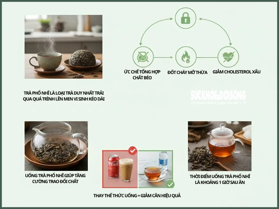 trà Phổ Nhĩ giảm cân hỗ trợ chuyển hóa