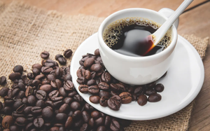 uống trà xanh có tốt cho bệnh gan nhiễm mỡ không khi dùng hợp lý