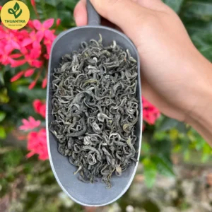 Trà xanh shan tuyết 1 lá nước trà mật ong