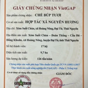 Set Trà Nõn Tôm Cánh Hạc chứng nhận VietGAP