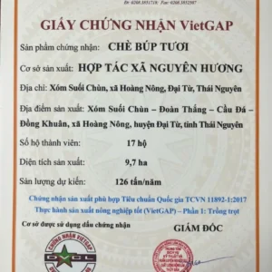 Set Trà Tâm Thảo chứng nhận VietGAP