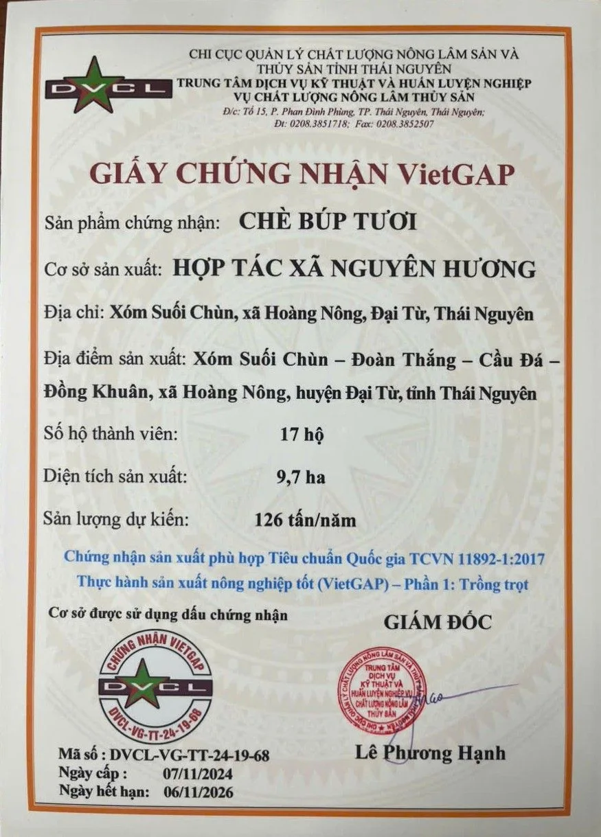 Set Trà Tâm Thảo chứng nhận VietGAP