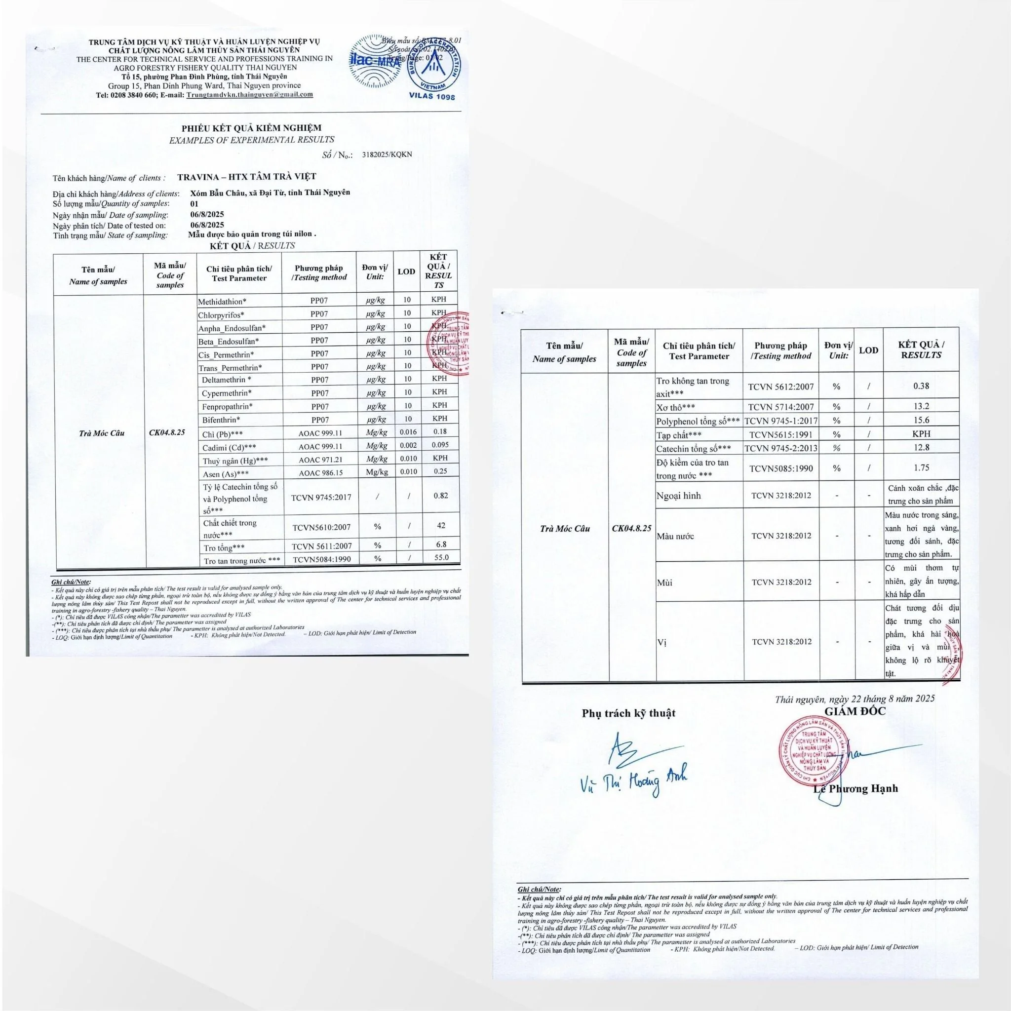 Set Trà Vạn Phúc trà Móc Câu cánh khô đẹp