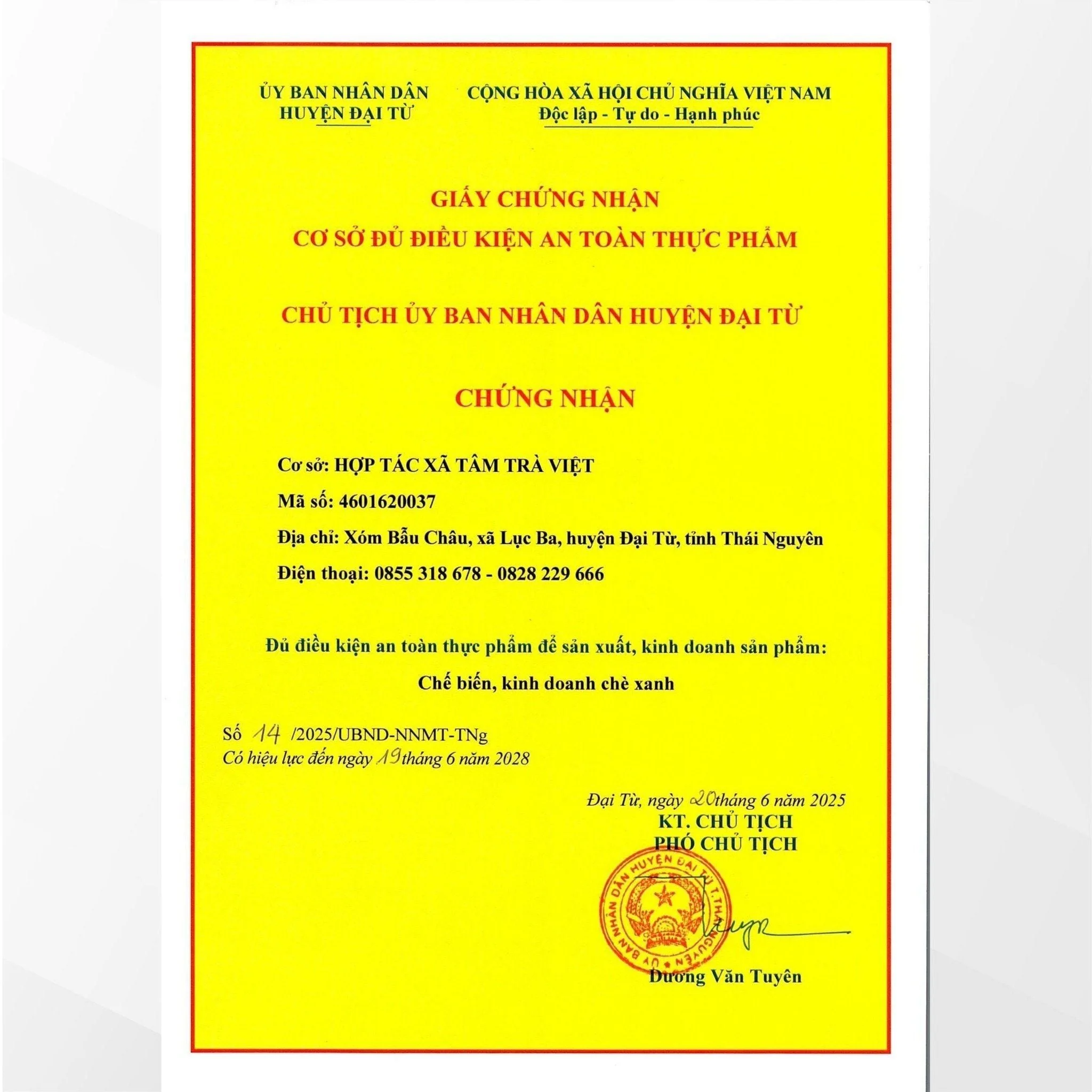 Set Trà Vạn Phúc nước trà xanh ánh vàng