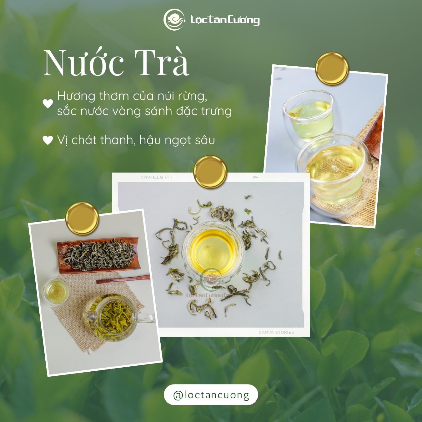 Nước Trà Shan Tuyết Tà Xùa (1 tôm 2 lá) sau khi pha