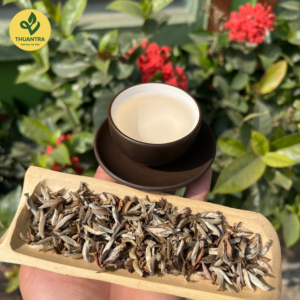 Trà Bạch Shan Tiên nước trà và búp trà