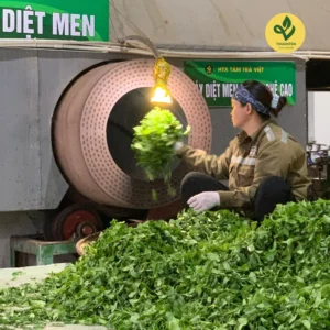 Trà Hoa Bưởi nước xanh ánh vàng hậu ngọt