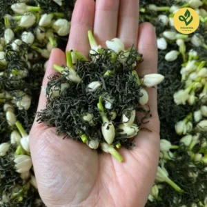 Trà Hoa Nhài cánh trà hương nhài thơm thanh