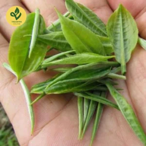 Trà Nõn Hảo Hạng đóng gói hút chân không