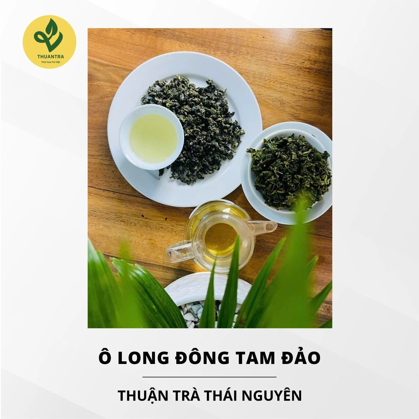 Trà Ô Long Đông Tam Đảo hậu vị ấm sâu
