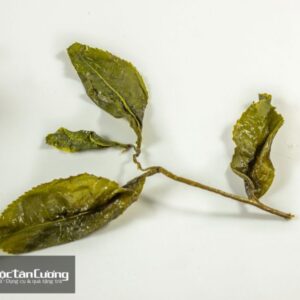 Trà OoLong Lộc Hương 5