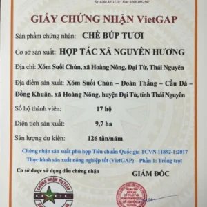 Trà Sen Tây Hồ chứng nhận VietGAP
