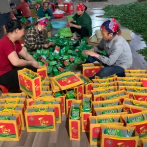 Trà Sen Tây Hồ cơ sở sản xuất trà Thái Nguyên