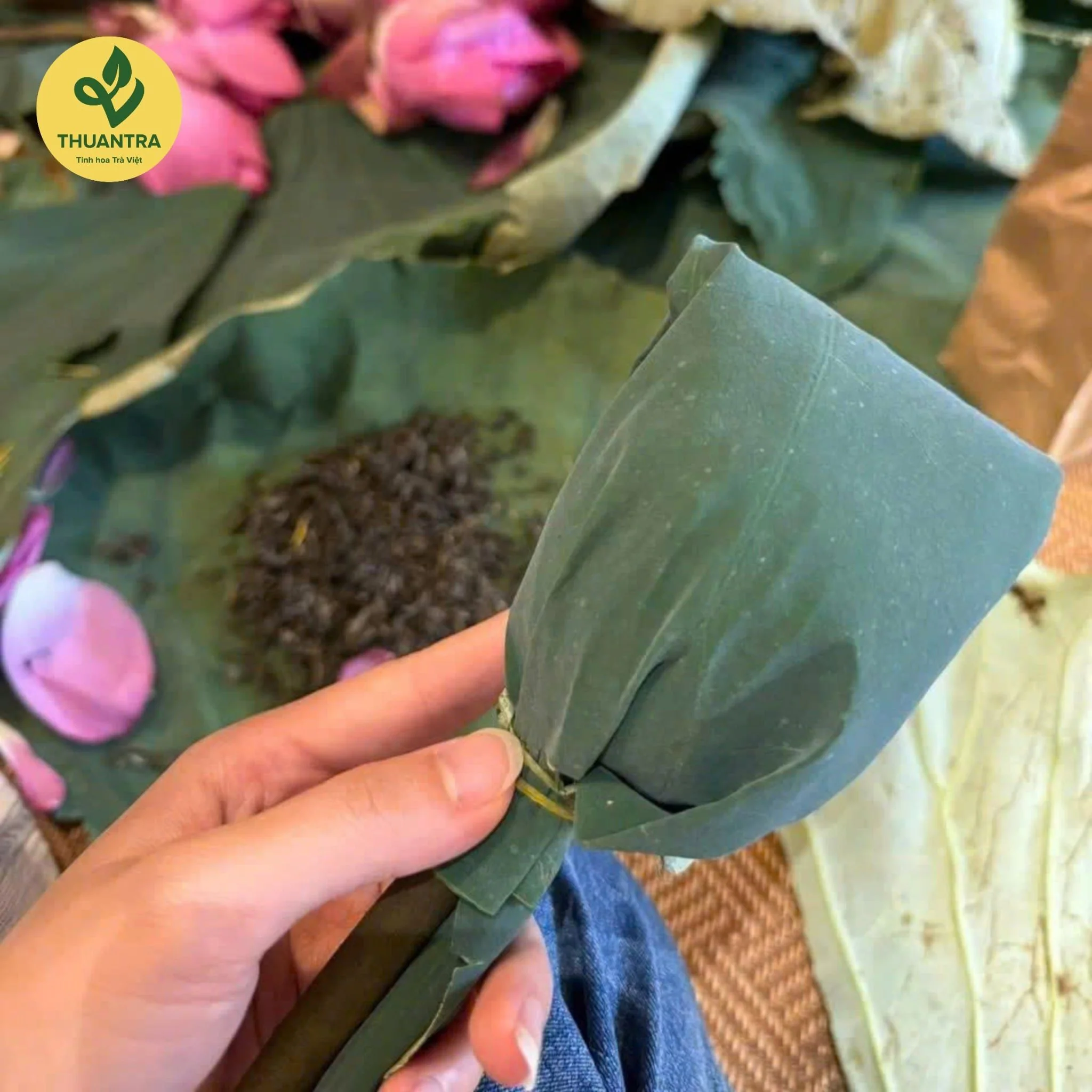 Trà Sen Tây Hồ Bông búp trà sen sấy thăng hoa