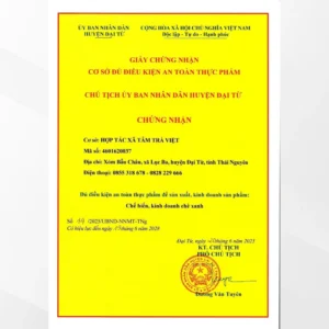 Trà Xanh Đặc Sản trà búp Thái Nguyên cao cấp