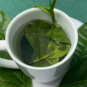 Trà xanh và xương khi dùng điều độ mỗi ngày