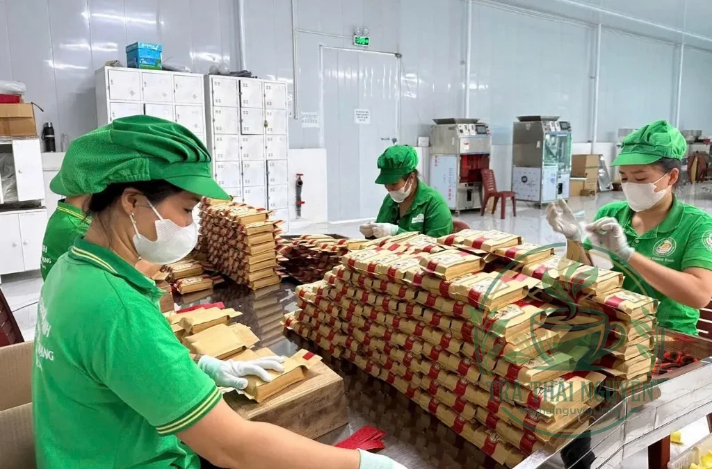 Quy cách đóng gói khi đặt hàng trà sen ngọc tỉnh liên tân cương xanh