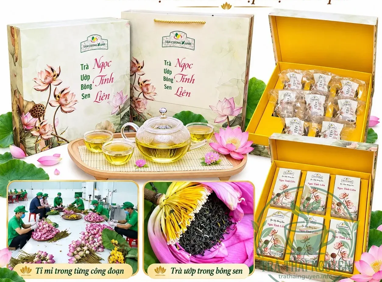Bảng giá trà ướp sen tây hồ cao cấp Tân Cương Xanh mới nhất