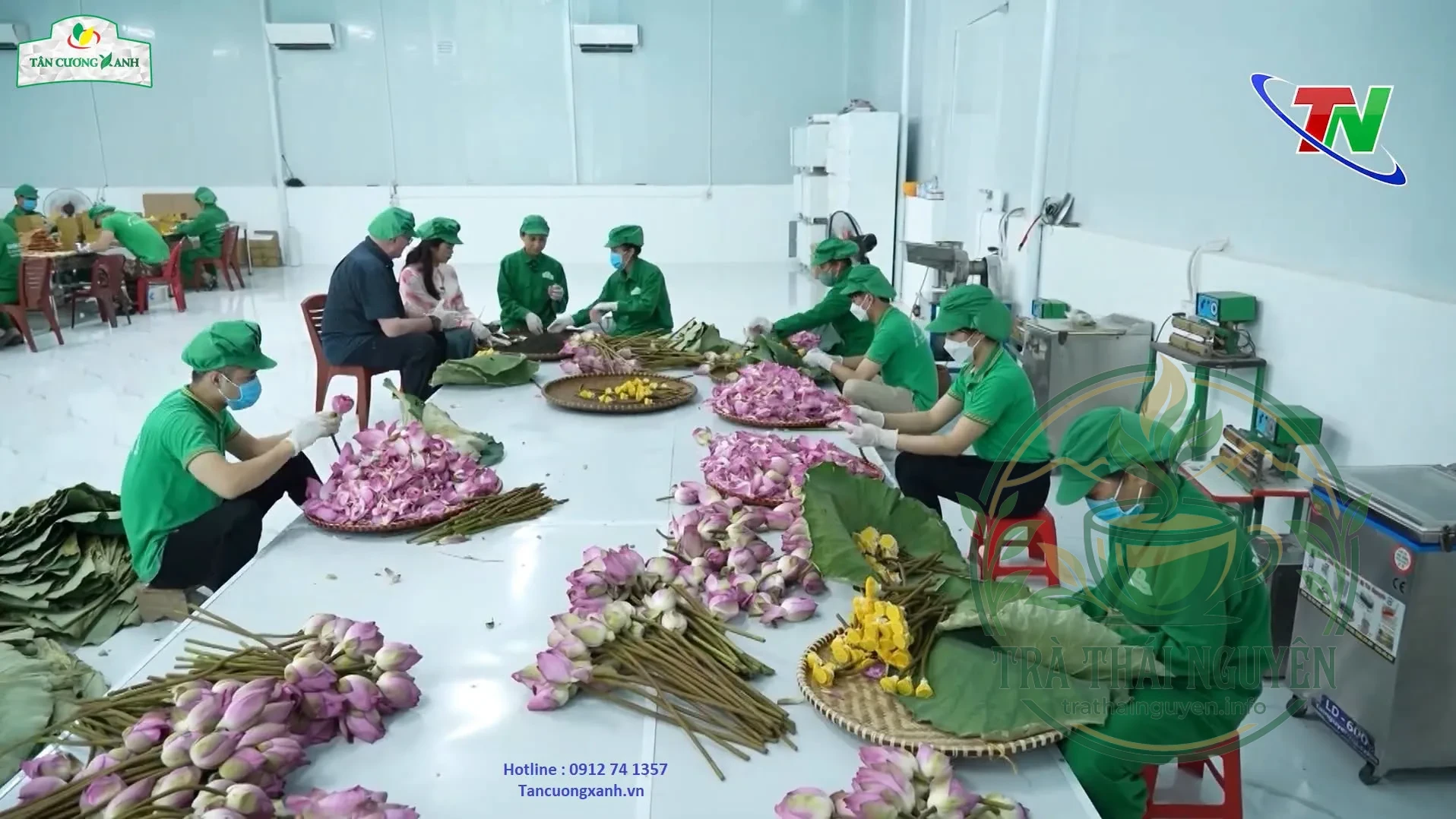 Chi tiết đóng gói trà ướp sen tây hồ tân cương xanh cao cấp